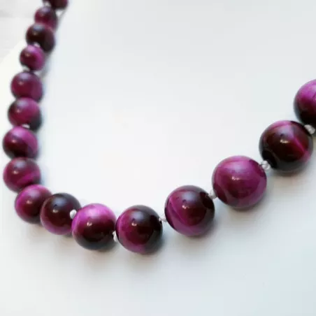 Collier Mammalia