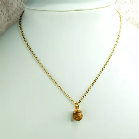 Collier Moraea