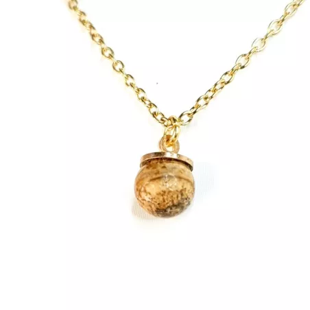 Collier Moraea